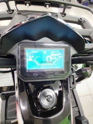 Квадроцикл Zuumav (Зуумав) REPTIL 200 (WARRIOR 200) чёрный (машинокомплект)